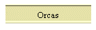 Orcas